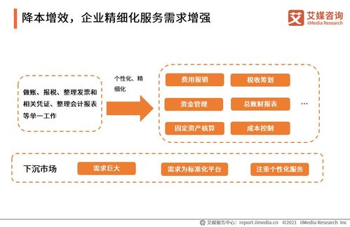 2021上半年中國(guó)財(cái)稅類(lèi)企業(yè)服務(wù)專(zhuān)題研究 信息咨詢(xún)服務(wù)的變革與未來(lái)